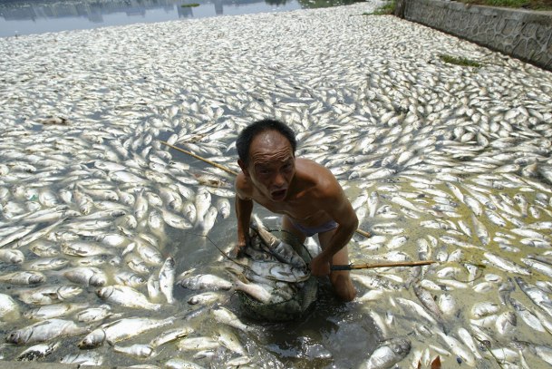 chine-pollution-homme-poissons